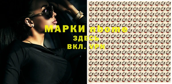 хмурый Алзамай