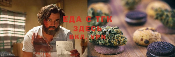 хмурый Алзамай