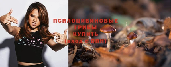хмурый Алзамай