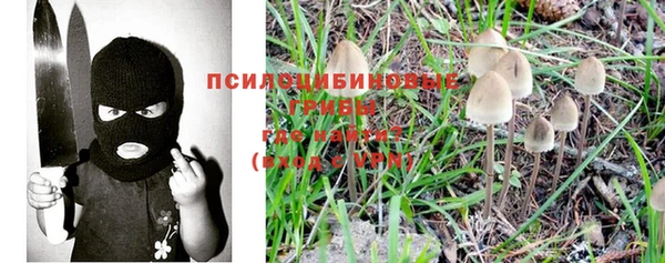 хмурый Алзамай