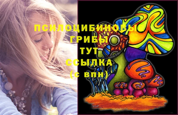 альфа пвп Алексеевка