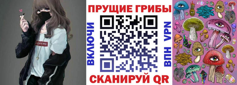 закладка Нижний Тагил блэк спрут как войти Галлюциногенные грибы MAGIC MUSHROOMS